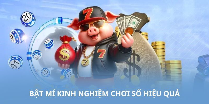 Chia sẻ kinh nghiệm chơi số hiệu quả từ cao thủ 