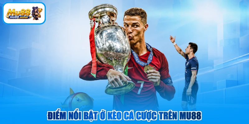Điểm nổi bật ở kèo cá cược trên MU88