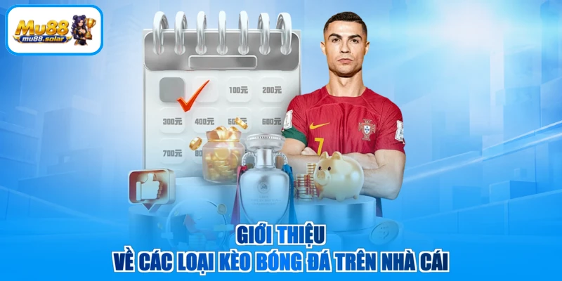 Giới thiệu về các loại kèo bóng đá trên nhà cái